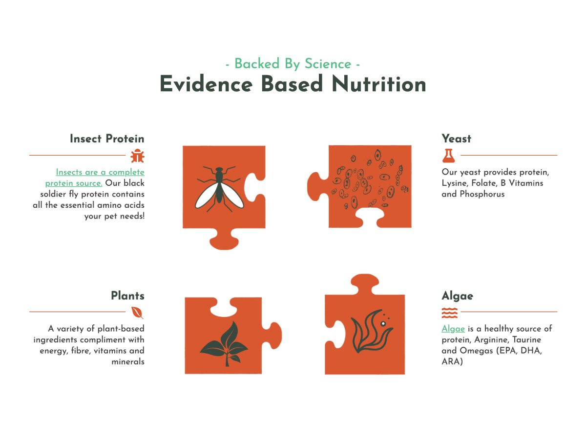 An infographic explaining 4 ingredients in Hope Pet Food: Insect protein, yeast, plants and algae