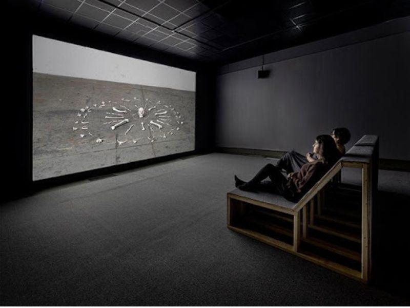 Two people sitting on a reclined chair in a dark room. They are watching a documentary on a projector that is displaying an empty room with a circle of bones