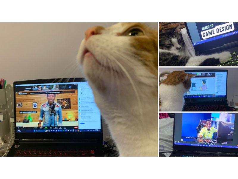 Video chat screen showing cats watching a live stream of Professor Kris Alexander's Game Design class