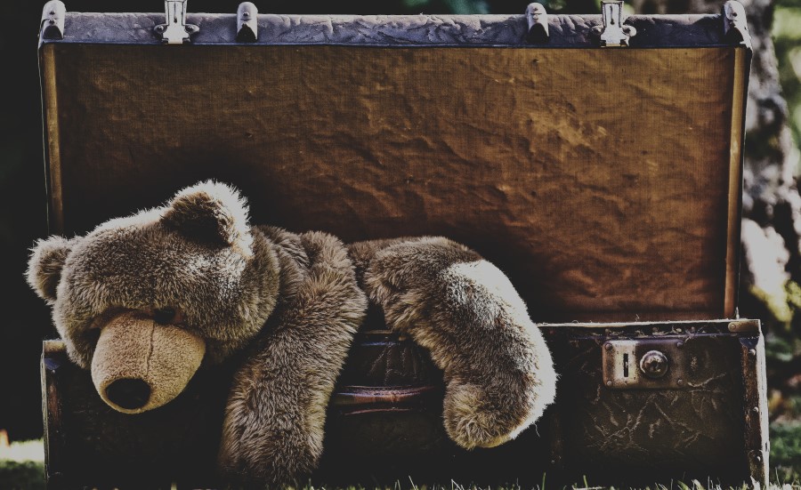 teddybear in an open suitcase