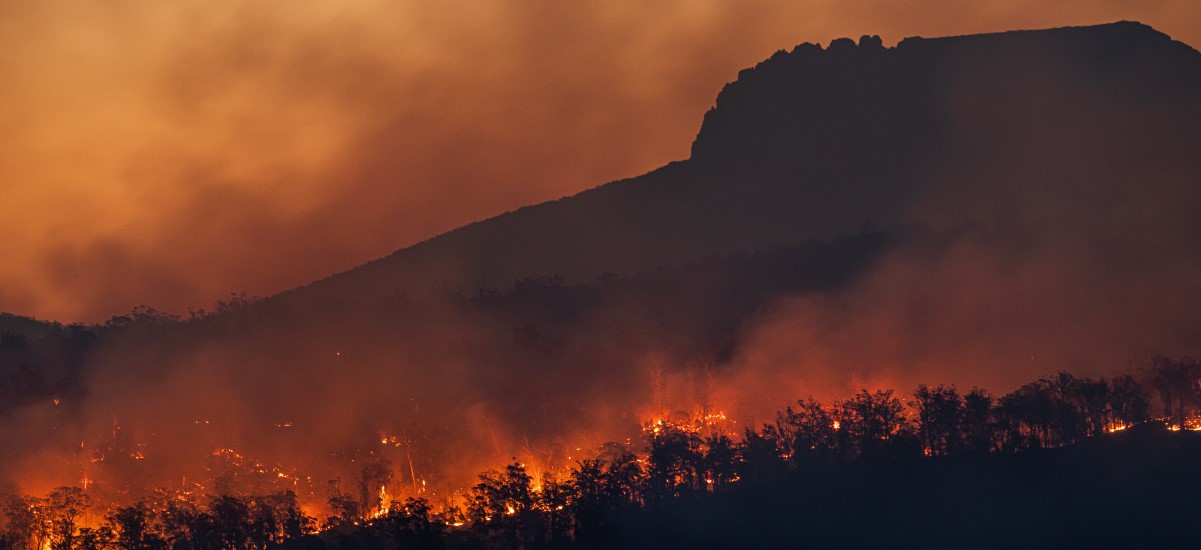 forest fires with orange sky and mountain in the background