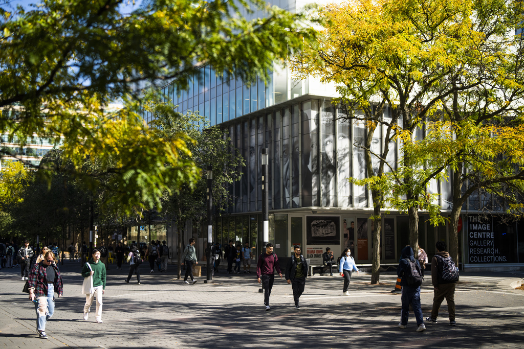 Gould street campus walkway in the summer.