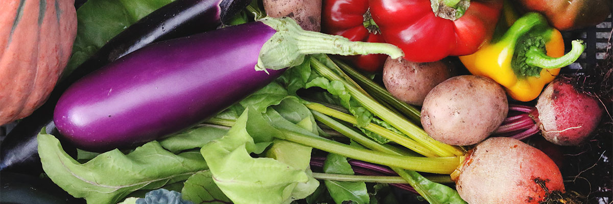 A close-up photo of fresh vegetables, including bell peppers, beets and eggplants.