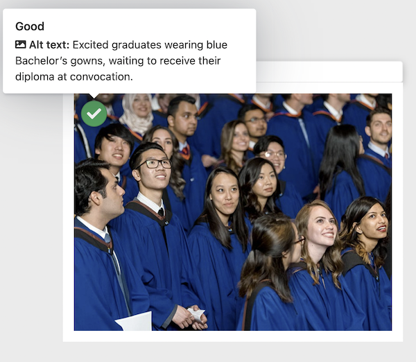 Screenshot showing off the accessibility checker's quality assurance features for ensuring good alt text on images.